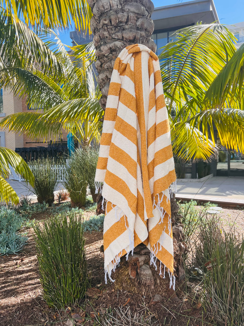 Goldie Mexican Adventure Blanket