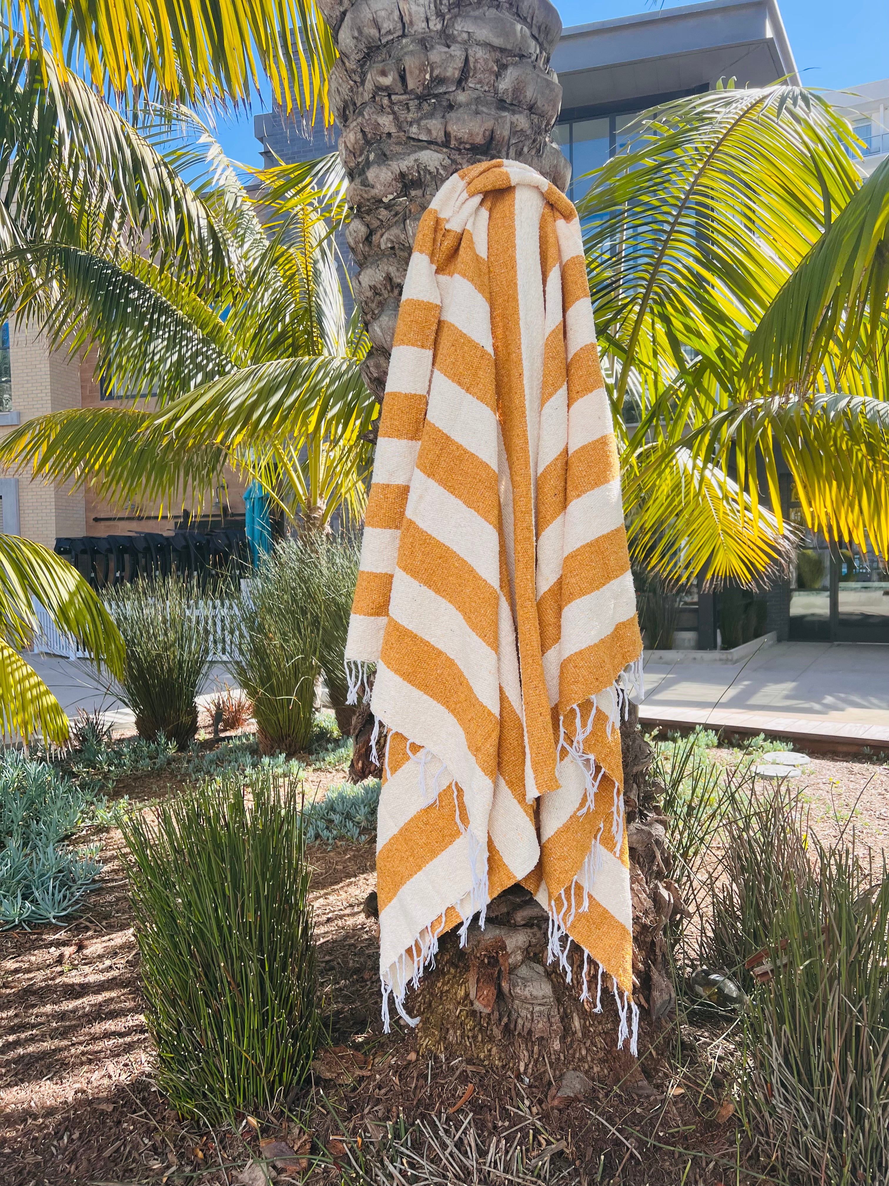 Goldie Mexican Adventure Blanket