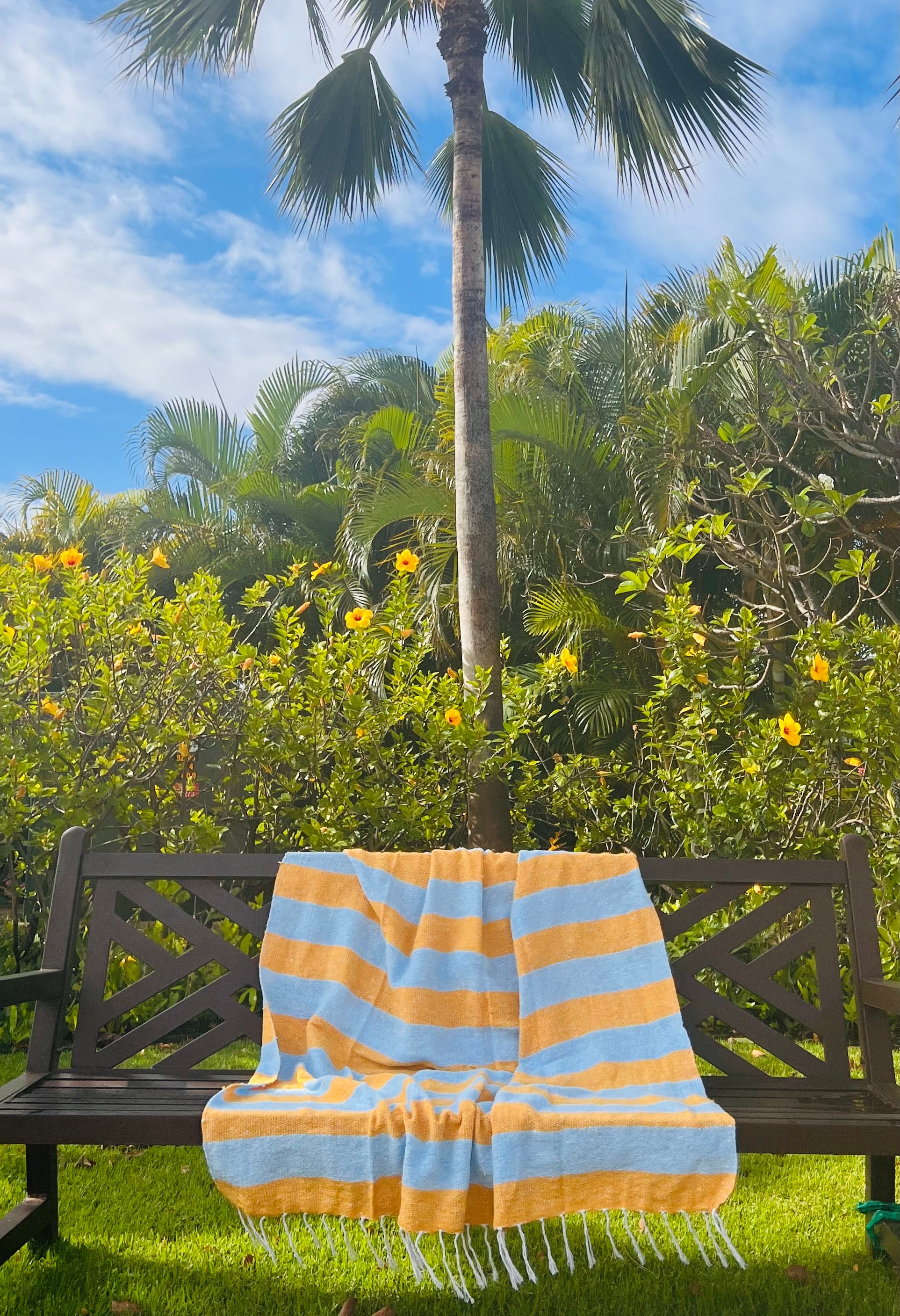 Cabana Mexican Adventure Blanket - Thumbnail 3