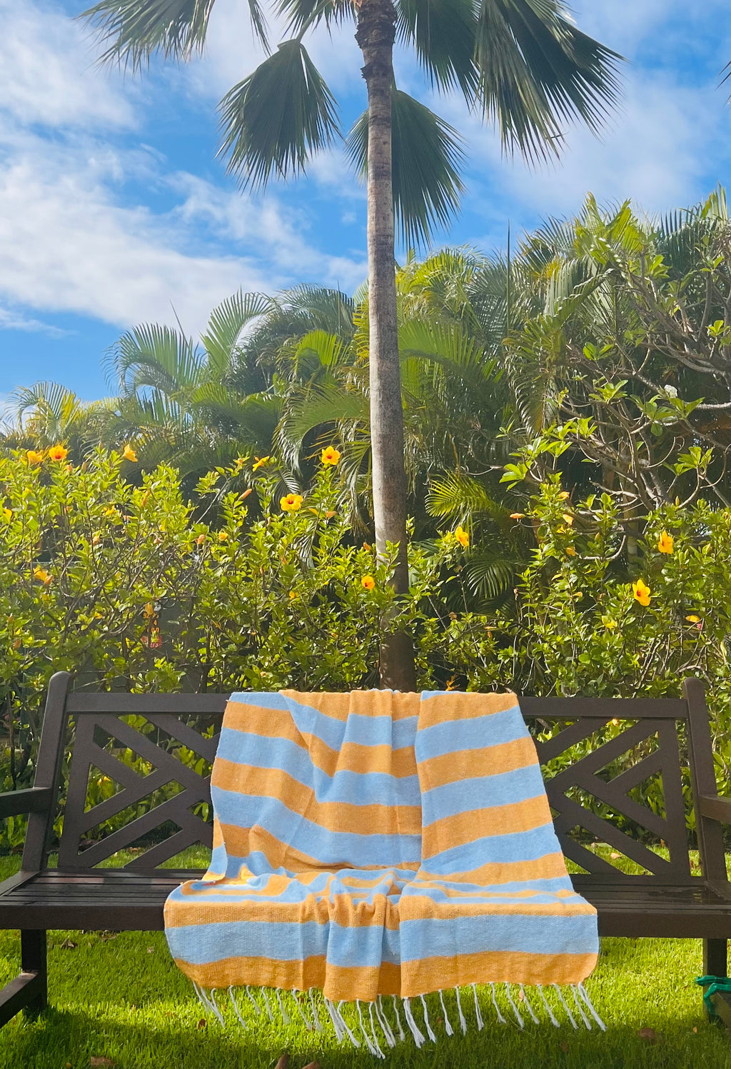 Cabana Mexican Adventure Blanket