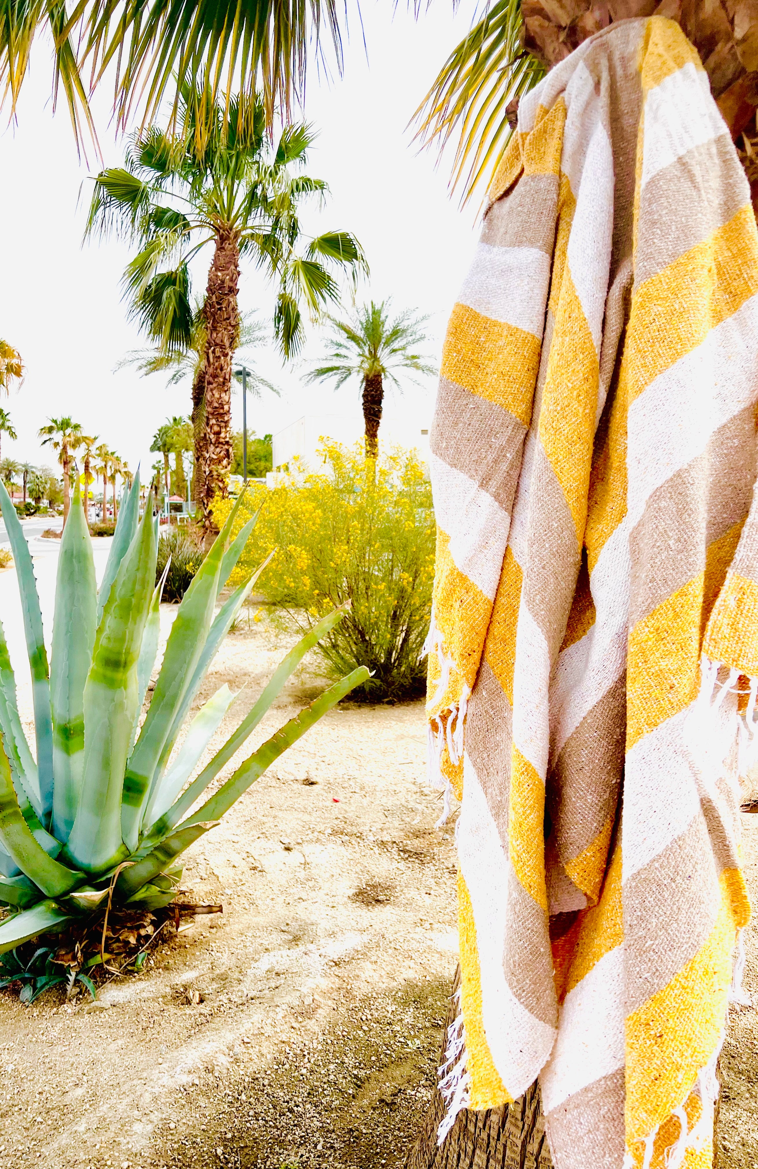 Coconut Flower Mexican Adventure Blanket