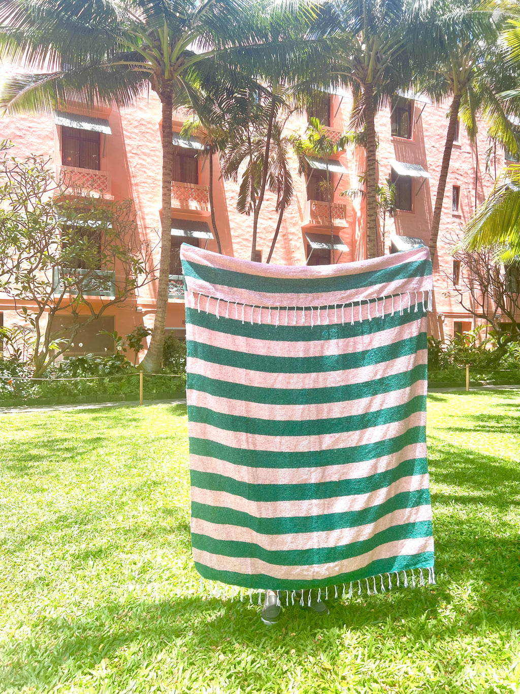 Flamingo Mexican Adventure Blanket