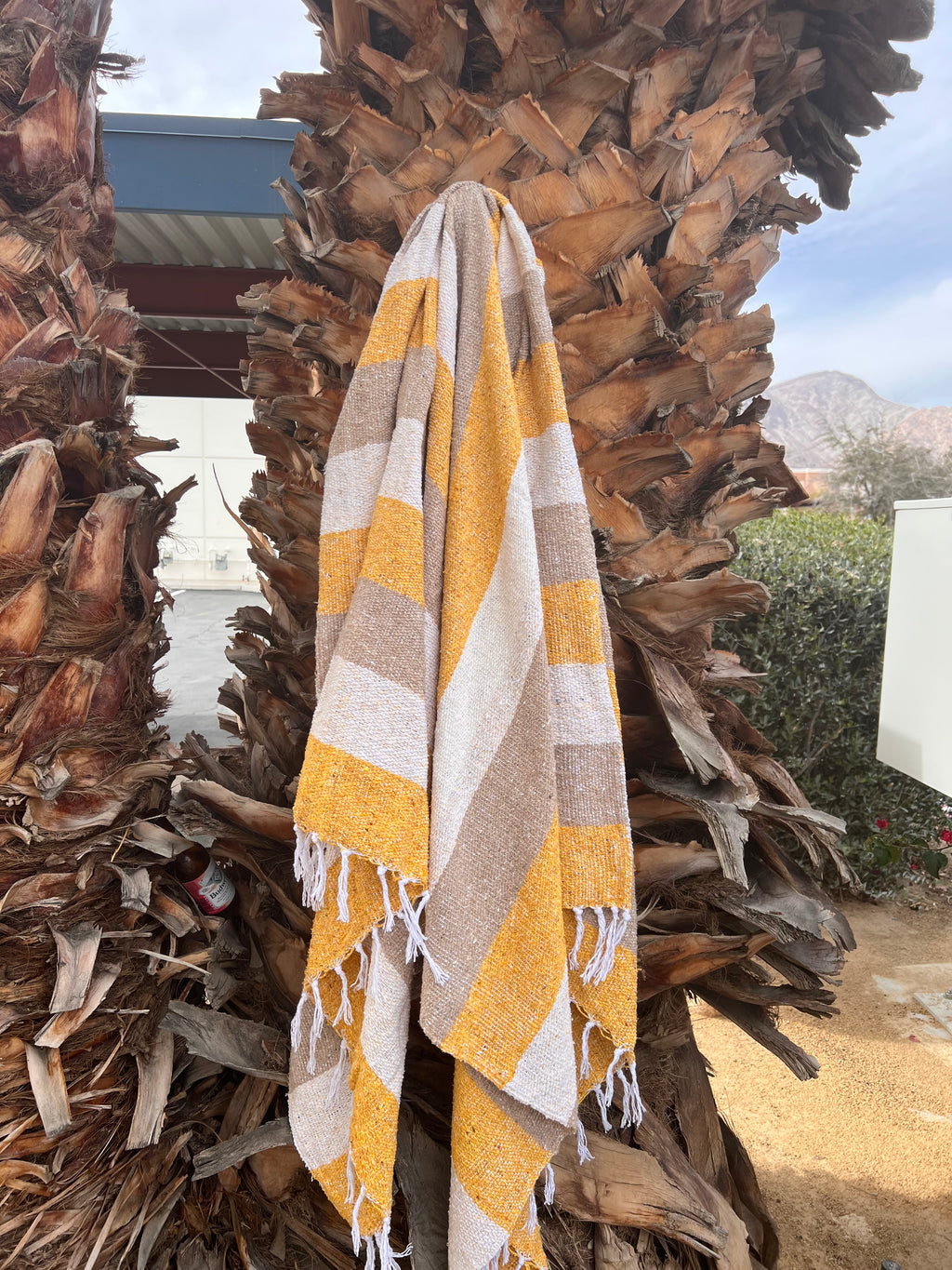 Coconut Flower Mexican Adventure Blanket